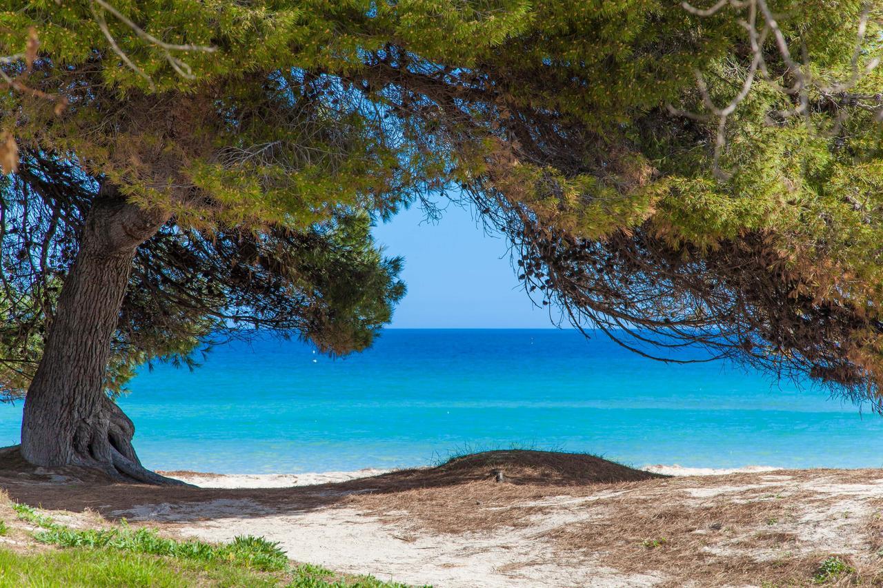 Formentera 2 Villa Can Picafort  Eksteriør billede